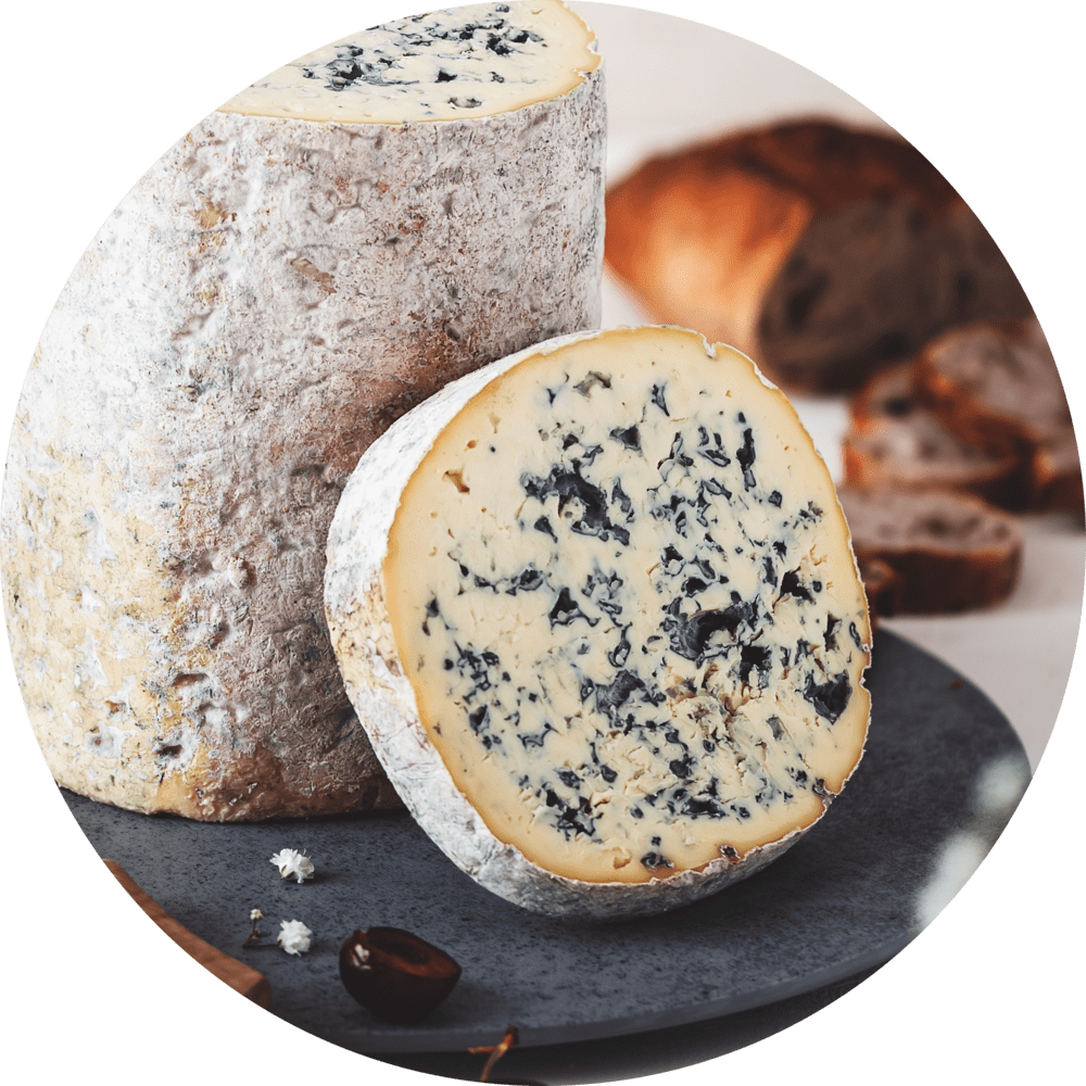 Fromage d'AOP d'Auvergne lait de vache